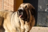 Filename=to~0.jpg
Filesize=59KiB
Dimensions=778x519
Date added=%614 %28, %2009 to~0.jpg