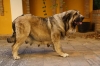 Filename=to~2.jpg
Filesize=89KiB
Dimensions=778x519
Date added=%893 %19, %2009 to~2.jpg