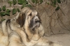 Filename=to~3.jpg
Filesize=87KiB
Dimensions=778x519
Date added=%506 %28, %2009 to~3.jpg