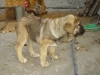 Filename=tr.jpg
Filesize=66KiB
Dimensions=568x426
Date added=%251 %12, %2009 tr.jpg