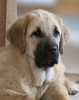 Filename=trueno88.jpg
Filesize=127KiB
Dimensions=382x480
Date added=%901 %14, %2007 trueno88.jpg