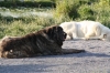 Filename=tu.jpg
Filesize=110KiB
Dimensions=778x519
Date added=%828 %29, %2009 tu.jpg