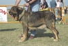 Filename=turca.jpg
Filesize=38KiB
Dimensions=400x272
Date added=%882 %14, %2008 turca.jpg