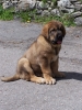 Filename=turco4.jpg
Filesize=770KiB
Dimensions=700x933
Date added=%016 %04, %2008 turco4.jpg