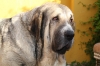 Filename=t~18.jpg
Filesize=93KiB
Dimensions=778x519
Date added=%289 %19, %2010 t~18.jpg