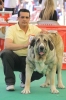 Filename=t~3.jpg
Filesize=60KiB
Dimensions=416x623
Date added=%285 %04, %2009 t~3.jpg