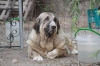 Filename=t~6.jpg
Filesize=84KiB
Dimensions=778x519
Date added=%240 %23, %2009 t~6.jpg