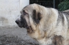 Filename=t~8.jpg
Filesize=110KiB
Dimensions=972x648
Date added=%883 %09, %2009 t~8.jpg