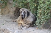 Filename=t~9.jpg
Filesize=138KiB
Dimensions=972x648
Date added=%858 %18, %2009 t~9.jpg