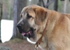 Filename=u12.jpg
Filesize=34KiB
Dimensions=650x465
Date added=%646 %15, %2007 u12.jpg