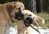 Filename=u14.jpg
Filesize=55KiB
Dimensions=650x453
Date added=%579 %15, %2007 u14.jpg