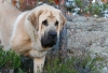 Filename=uima_1995.jpg
Filesize=388KiB
Dimensions=700x477
Date added=%980 %03, %2007 uima_1995.jpg