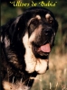 Filename=ulises_de_babia.jpg
Filesize=24KiB
Dimensions=400x534
Date added=%459 %14, %2008 ulises_de_babia.jpg