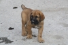Filename=u~1.jpg
Filesize=88KiB
Dimensions=972x648
Date added=%868 %18, %2009 u~1.jpg