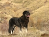 Filename=valeron(148).jpg
Filesize=385KiB
Dimensions=1024x768
Date added=%976 %05, %2008 valeron(148).jpg