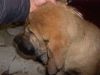 Filename=vicenteooo_005.JPG
Filesize=809KiB
Dimensions=2048x1536
Date added=%693 %30, %2010 vicenteooo_005.JPG