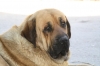 Filename=vit.jpg
Filesize=87KiB
Dimensions=972x648
Date added=%264 %10, %2009 vit.jpg