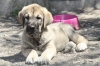 Filename=v~3.jpg
Filesize=277KiB
Dimensions=972x648
Date added=%539 %10, %2011 v~3.jpg