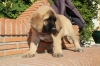 Filename=w~1.jpg
Filesize=140KiB
Dimensions=972x648
Date added=%387 %13, %2009 w~1.jpg