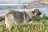 Filename=w~10.jpg
Filesize=107KiB
Dimensions=778x519
Date added=%335 %10, %2010 w~10.jpg