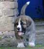 Filename=xanto1.jpg
Filesize=32KiB
Dimensions=367x400
Date added=%051 %19, %2010 xanto1.jpg