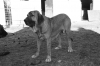 Filename=x~0.jpg
Filesize=120KiB
Dimensions=972x648
Date added=%858 %18, %2009 x~0.jpg