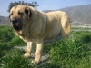 Filename=y.jpg
Filesize=145KiB
Dimensions=768x576
Date added=%266 %01, %2009 y.jpg