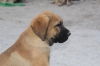 Filename=yj.jpg
Filesize=69KiB
Dimensions=972x648
Date added=%450 %19, %2009 yj.jpg