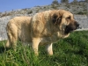 Filename=yu.jpg
Filesize=158KiB
Dimensions=768x576
Date added=%270 %01, %2009 yu.jpg