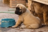 Filename=y~0.jpg
Filesize=89KiB
Dimensions=972x648
Date added=%295 %06, %2009 y~0.jpg
