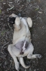 Filename=y~5.jpg
Filesize=151KiB
Dimensions=648x972
Date added=%846 %21, %2009 y~5.jpg