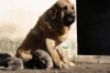 Filename=y~8.jpg
Filesize=79KiB
Dimensions=778x519
Date added=%960 %30, %2010 y~8.jpg