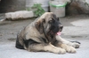 Filename=z.jpg
Filesize=57KiB
Dimensions=778x519
Date added=%275 %25, %2009 z.jpg