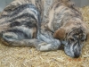 Filename=zaca_march_19.jpg
Filesize=724KiB
Dimensions=2048x1536
Date added=%261 %27, %2011 zaca_march_19.jpg