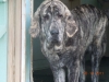 Filename=zele_march_19.jpg
Filesize=505KiB
Dimensions=2048x1536
Date added=%261 %27, %2011 zele_march_19.jpg