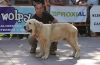 Filename=zeus10.jpg
Filesize=59KiB
Dimensions=500x329
Date added=%535 %06, %2006 zeus10.jpg