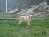 Filename=zeus15.jpg
Filesize=273KiB
Dimensions=700x525
Date added=%580 %14, %2007 zeus15.jpg