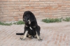 Filename=zx.jpg
Filesize=95KiB
Dimensions=972x648
Date added=%858 %12, %2009 zx.jpg
