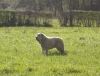 Filename=zzeus17.jpg
Filesize=193KiB
Dimensions=700x532
Date added=%578 %14, %2007 zzeus17.jpg