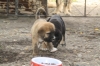 Filename=z~0.jpg
Filesize=100KiB
Dimensions=972x648
Date added=%236 %24, %2009 z~0.jpg