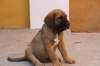 Filename=z~1.jpg
Filesize=76KiB
Dimensions=972x648
Date added=%861 %12, %2009 z~1.jpg